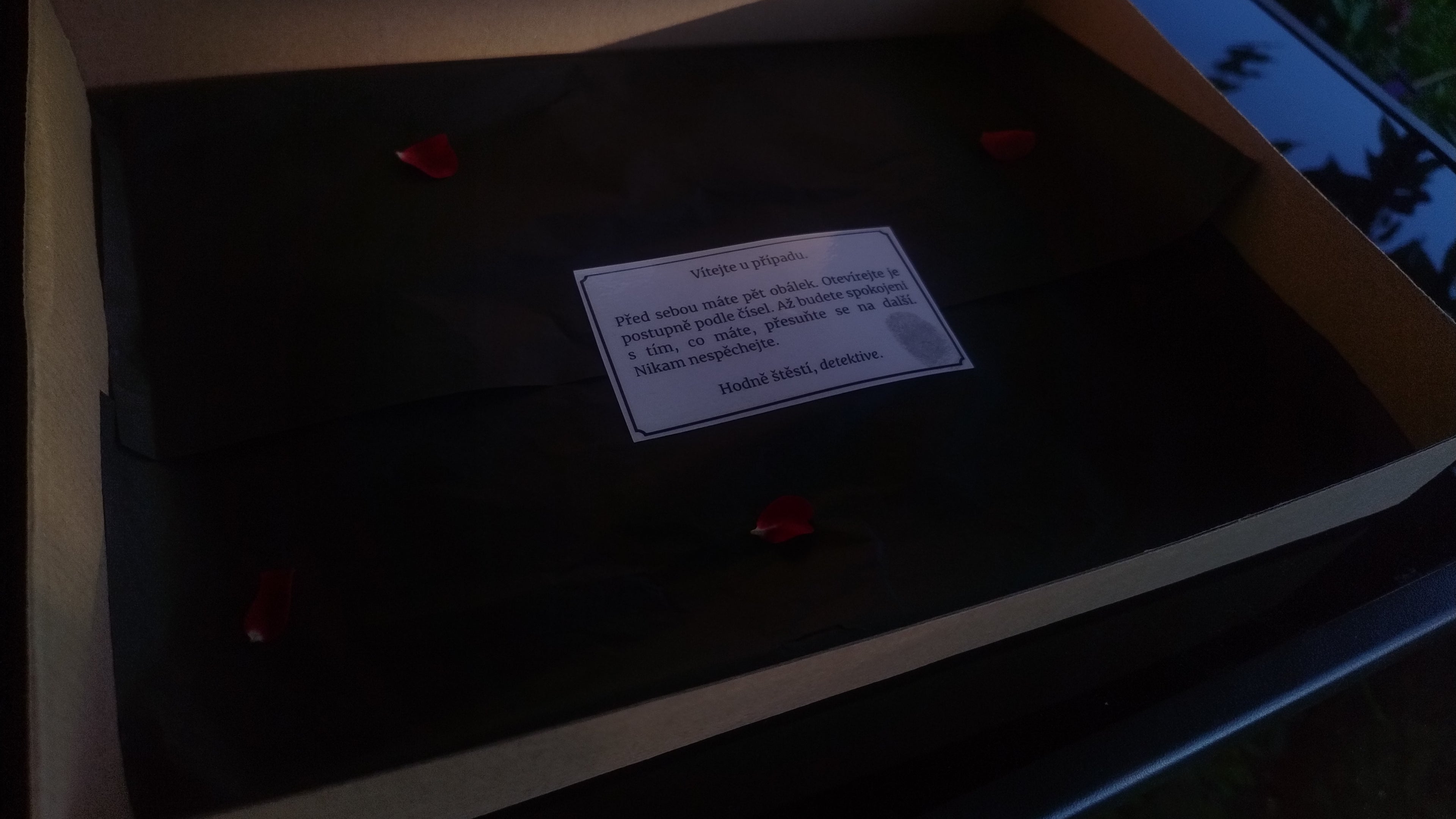 Případ č.1974/Smrt na Vile